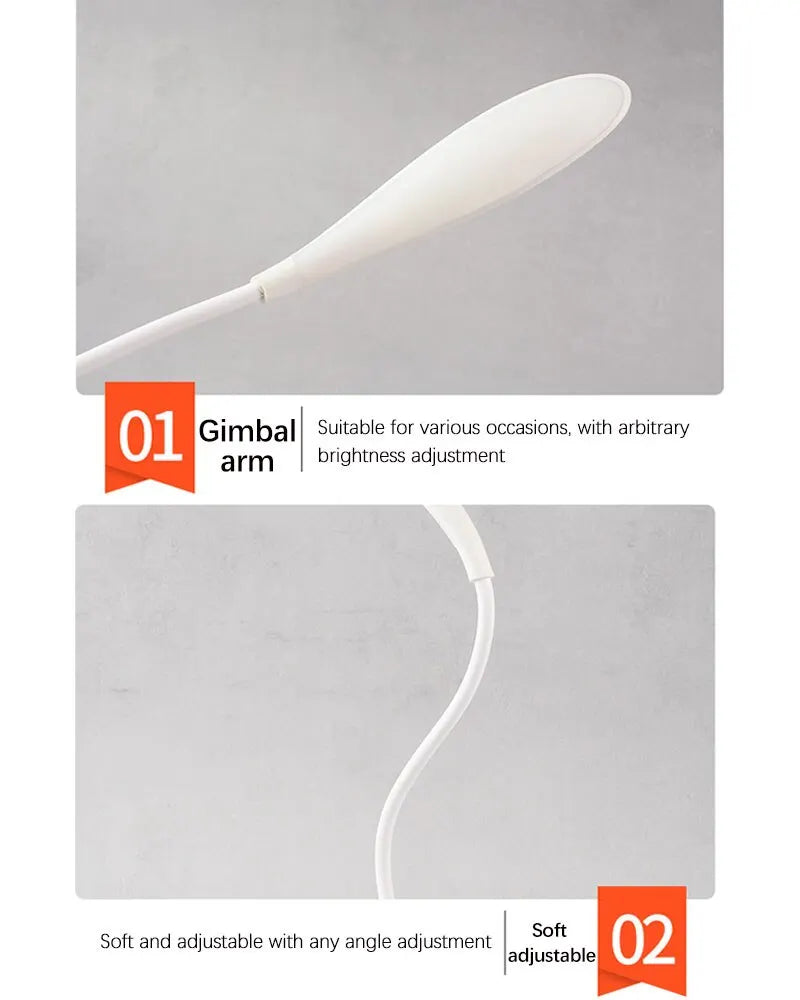 Rechargeable LED Desk Lamp