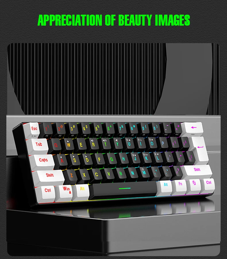 60% Compact RGB Wired Keyboard
