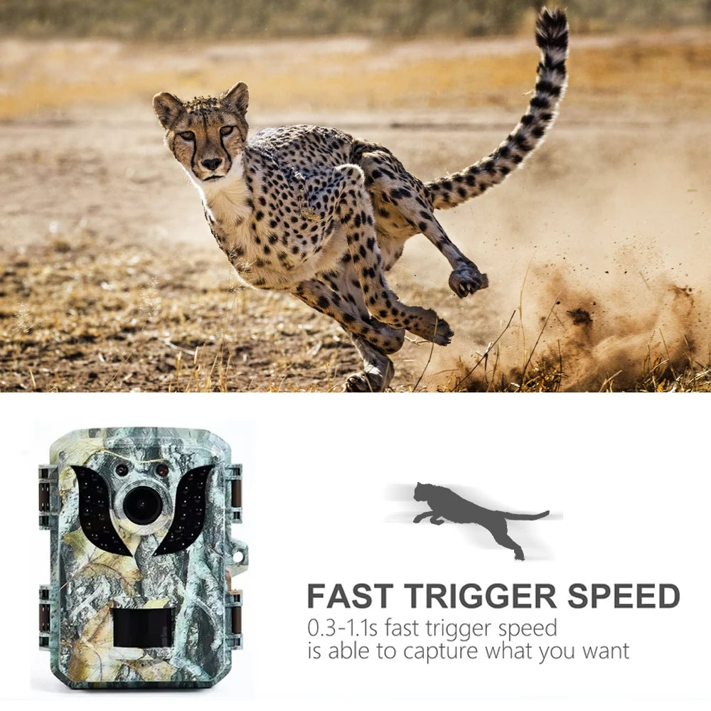 16MP Night Vision Trail Camera